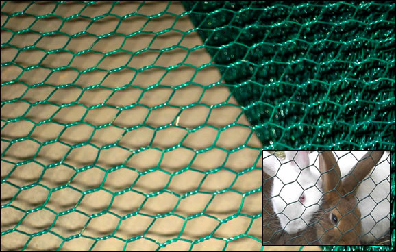 Plastic Coated Poultry and Rabbit Net Fencing