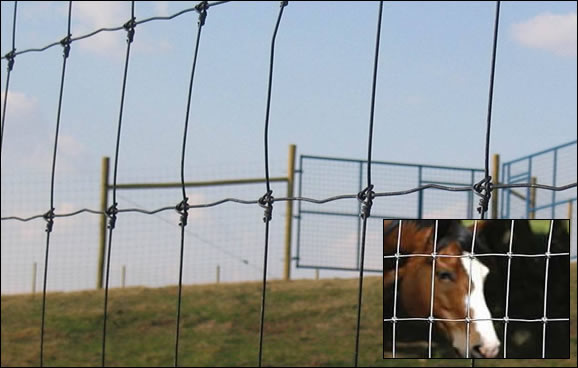 Fixed Knot Field Fence for Horse Farming