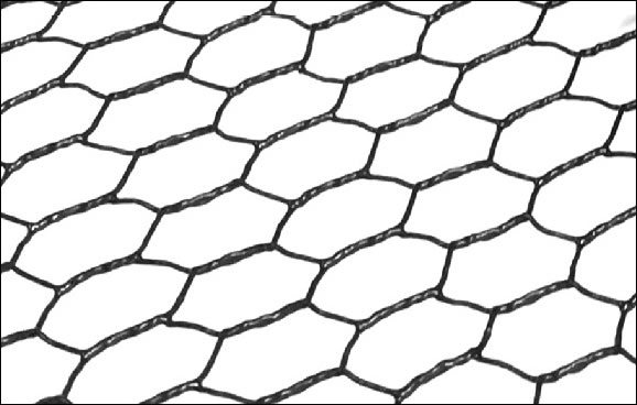 1 inch mesh black coated chicken wire for crab traps