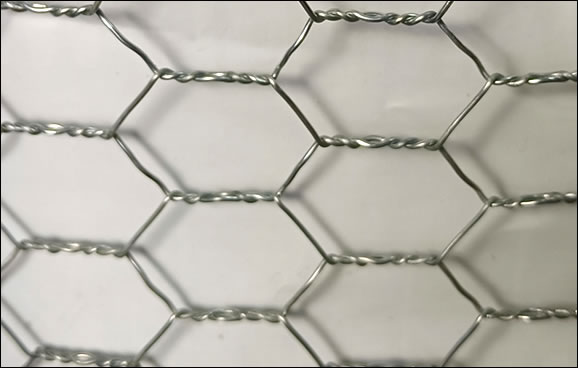 Galvanized wire net hot dip galv. after weaving for crab netting and fish basket